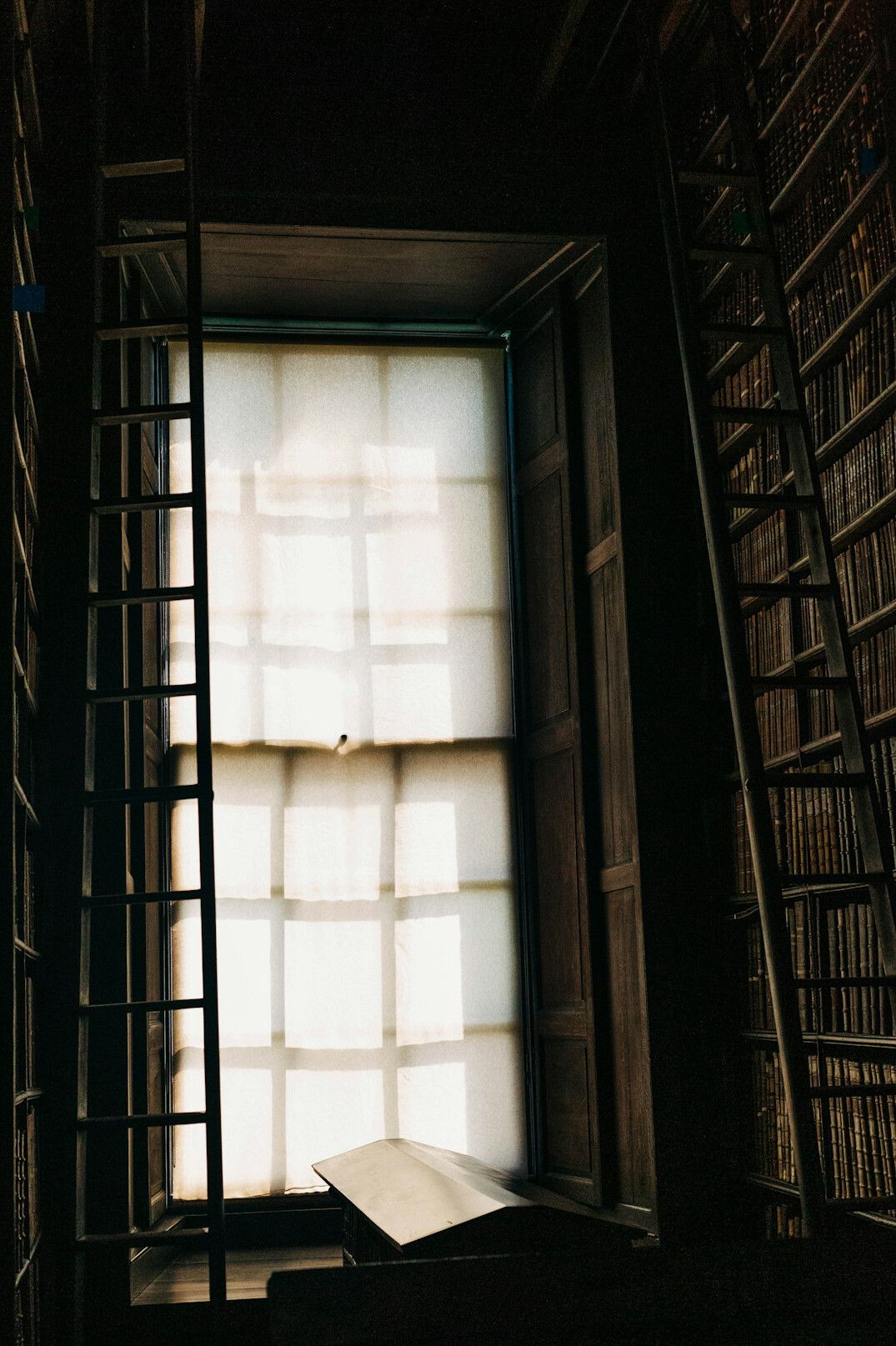 Old library with tall wooden bookshelves and a ladder in warm light